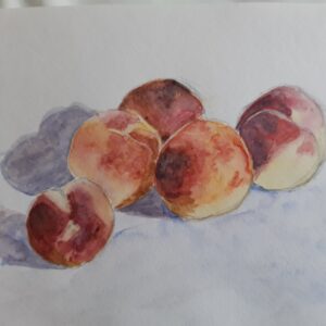 20250710_155000 Les bases de la Nature Morte