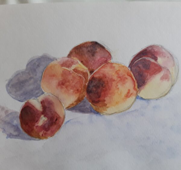 Les bases de la Nature Morte