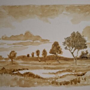 Les bases du paysage