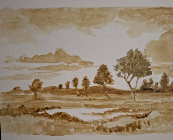 Les bases du paysage