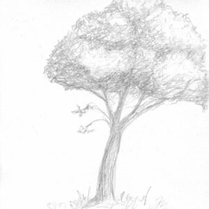 Arbre crayon Arbre