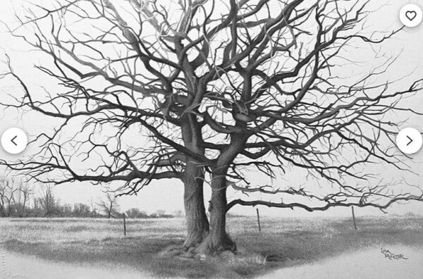 Les bases du paysage