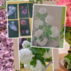 Composition de dessins et photos de fleurs réalisés pendant un stage de dessin