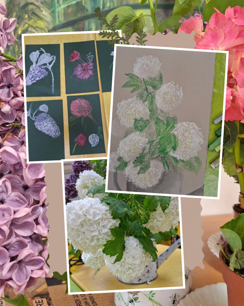 Composition de dessins et photos de fleurs réalisés pendant un stage de dessin