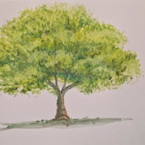 Peindre un arbre (gouache/aquarelle)