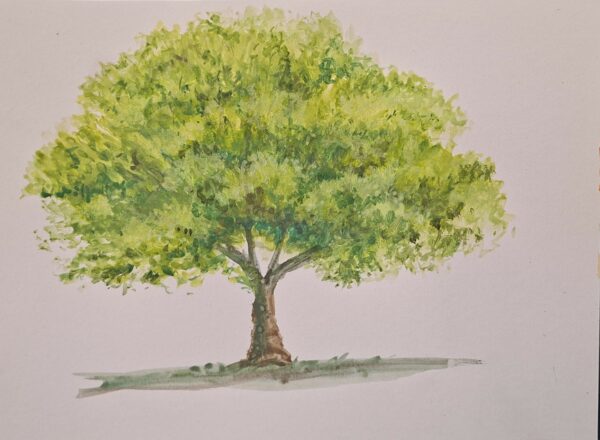 Peindre un arbre (gouache/aquarelle)
